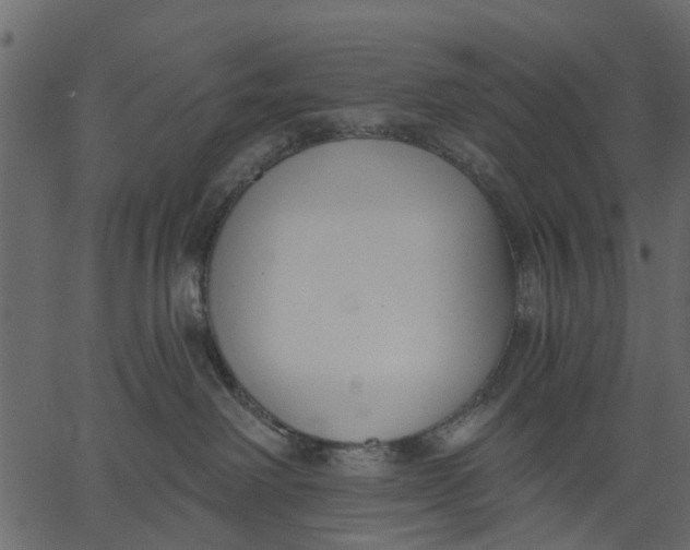 X0000062610238200601111016