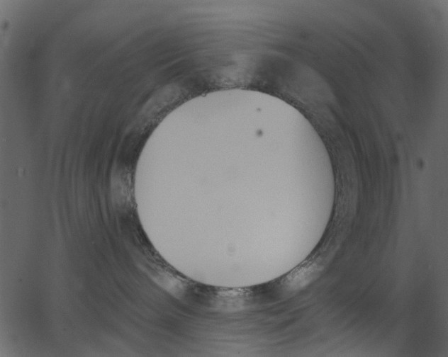 X0000062610240200601111016