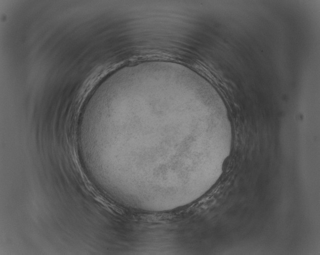 X0000062610241200601111015