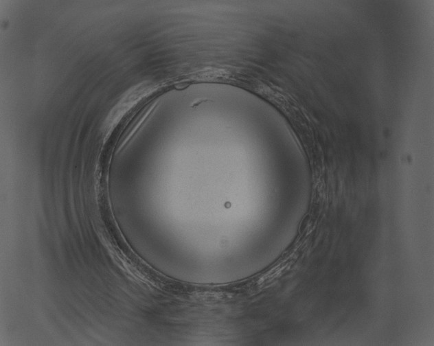 X0000062610242200601111015