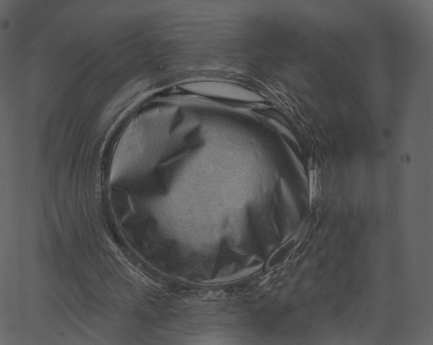 X0000062610243200601111016