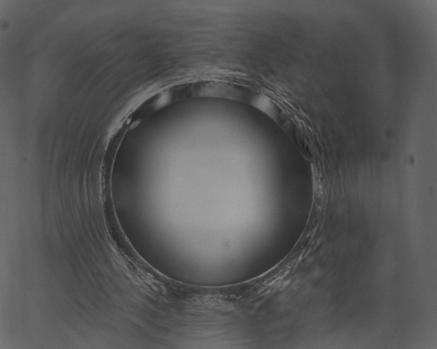 X0000062610244200601111016