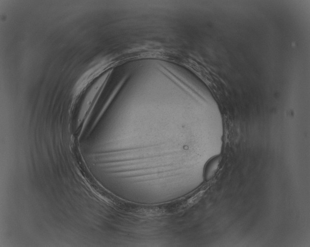 X0000062610245200601111016