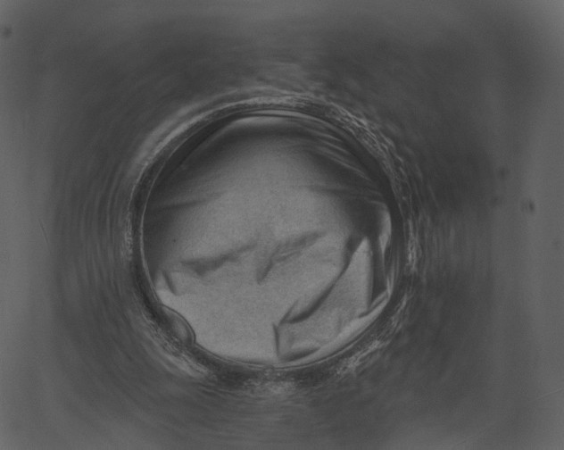 X0000062610247200601111016