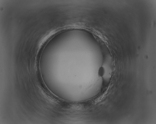 X0000062610248200601111016