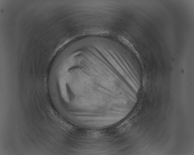 X0000062610249200601111016