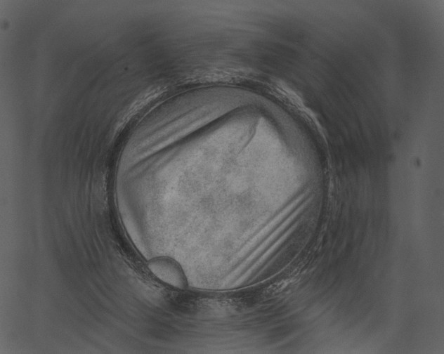 X0000062610250200601111016