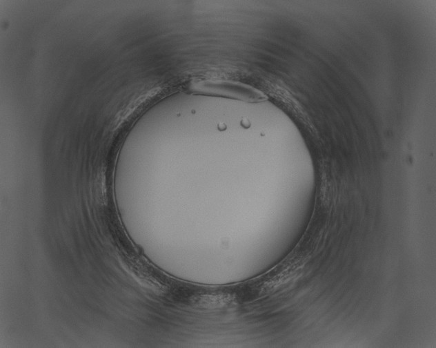 X0000062610251200601111016