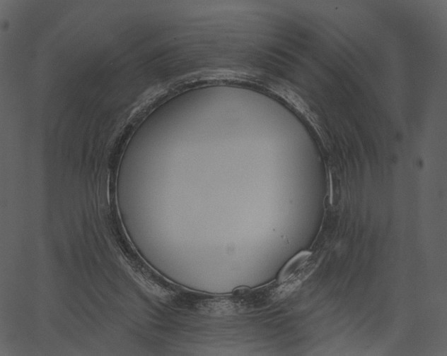 X0000062610253200601111016