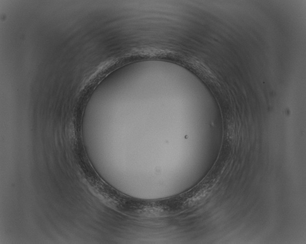 X0000062610256200601111016