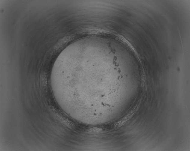 X0000062610257200601111016