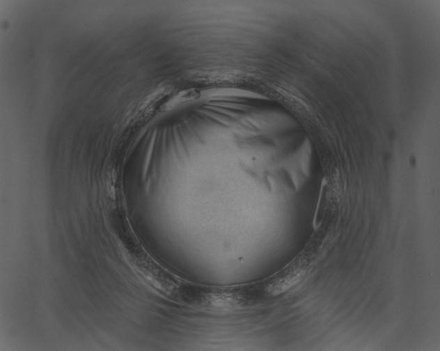 X0000062610264200601111016