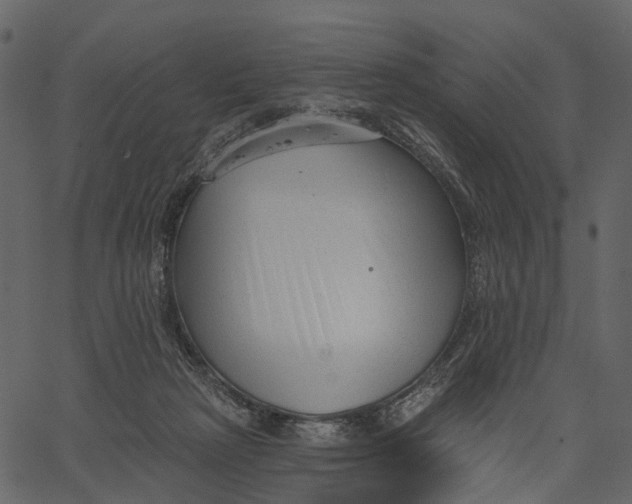 X0000062610265200601111016