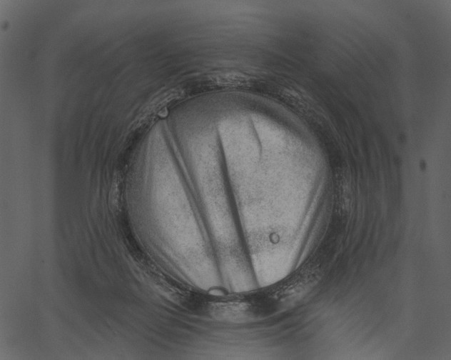 X0000062610266200601111016