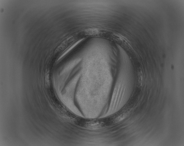 X0000062610267200601111016