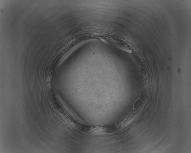 X0000062610269200601111016