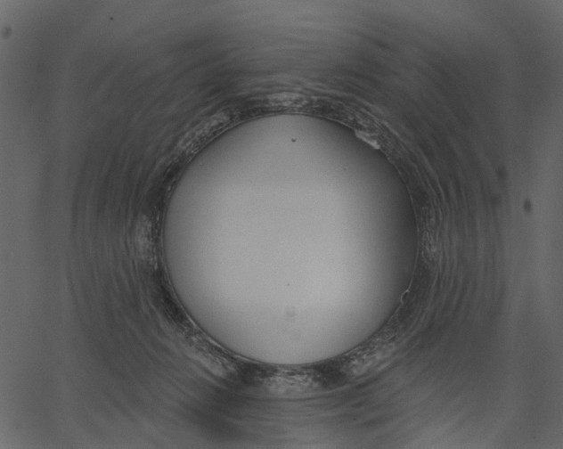 X0000062610270200601111016