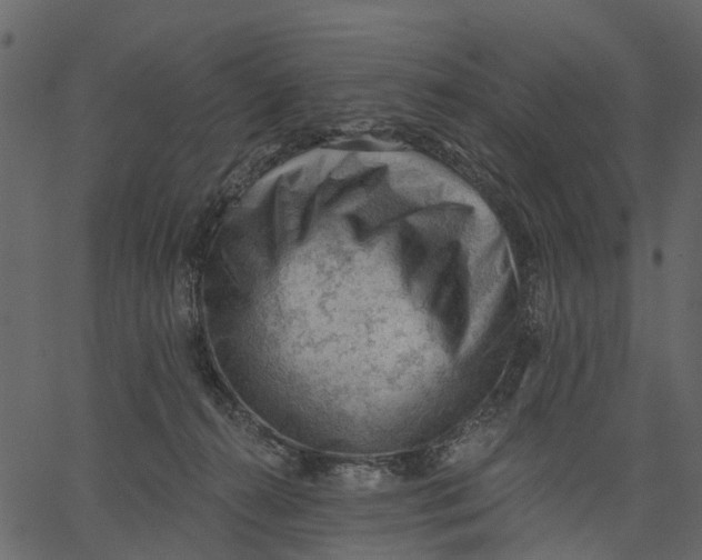 X0000062610272200601111016