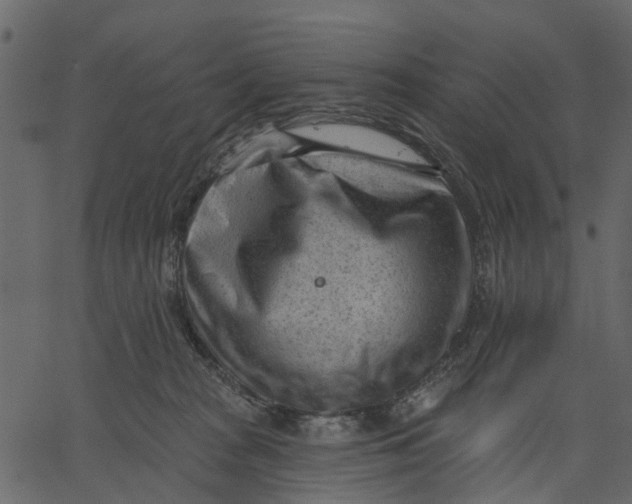 X0000062610277200601111016