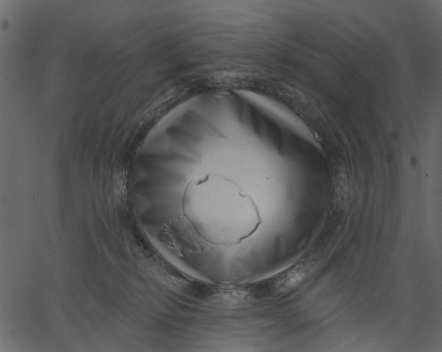 X0000062610278200601111016