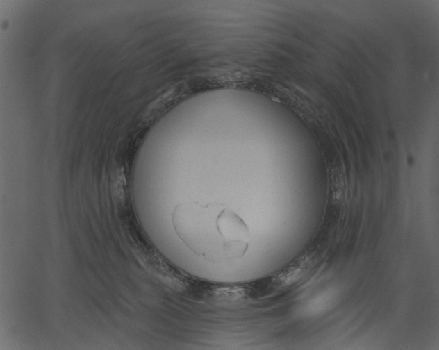 X0000062610279200601111016