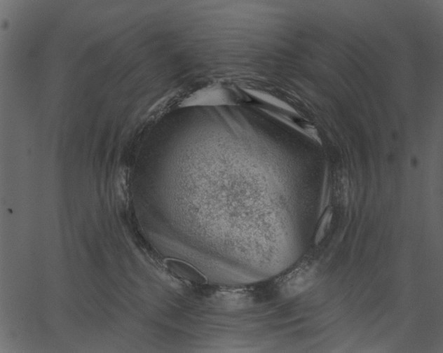 X0000062610280200601111016