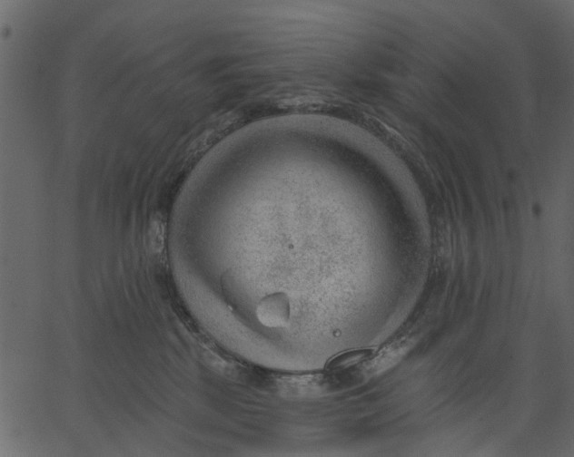 X0000062610281200601111016