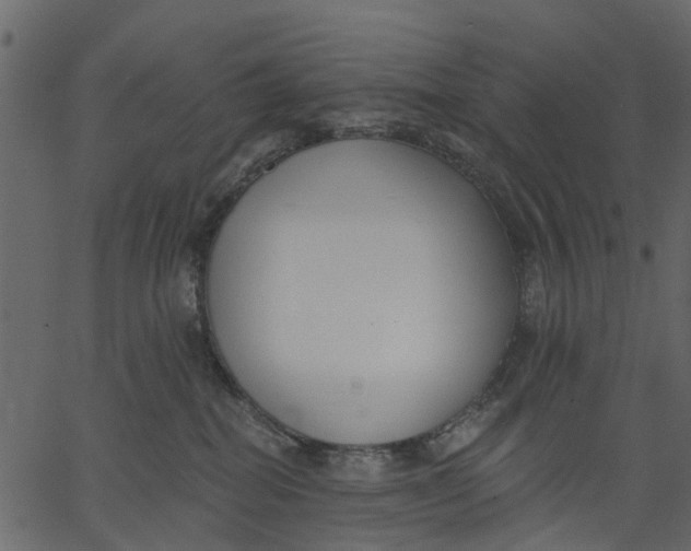 X0000062610282200601111016