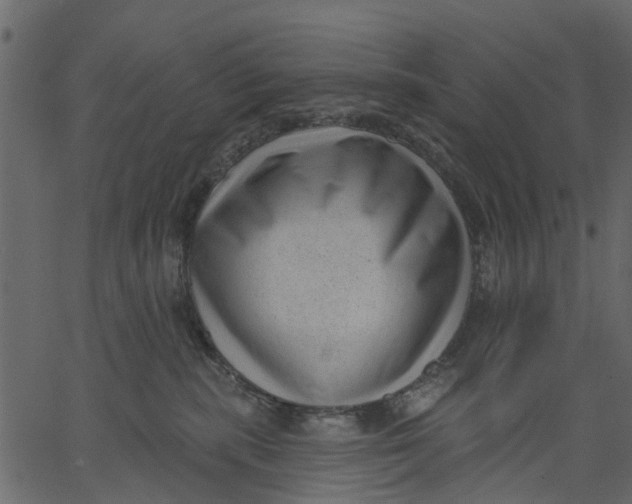 X0000062610283200601111016