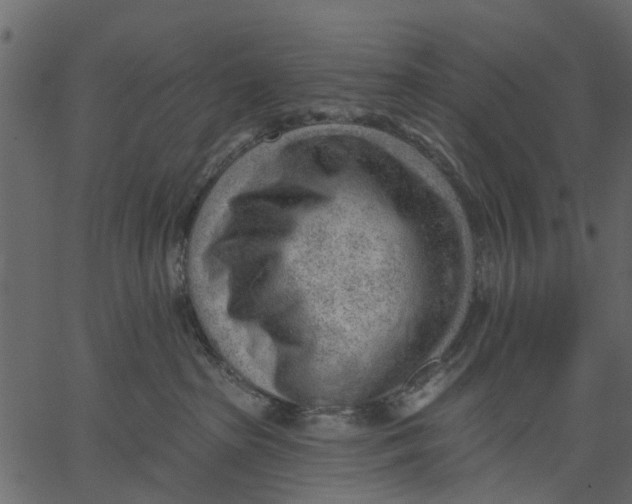 X0000062610285200601111016