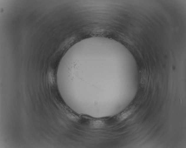 X0000062610287200601111016