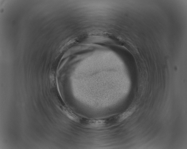 X0000062610288200601111016