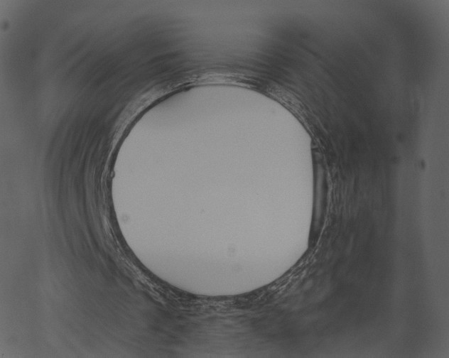 X0000062610289200601111015