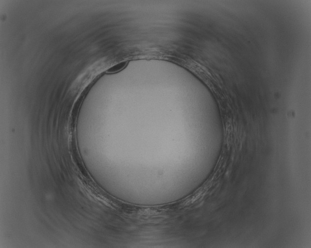 X0000062610290200601111015