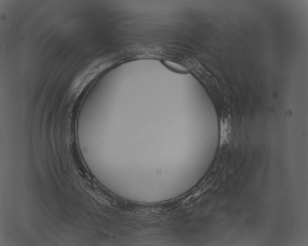 X0000062610291200601111015