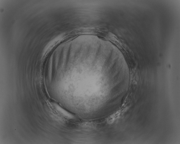 X0000062610293200601111015