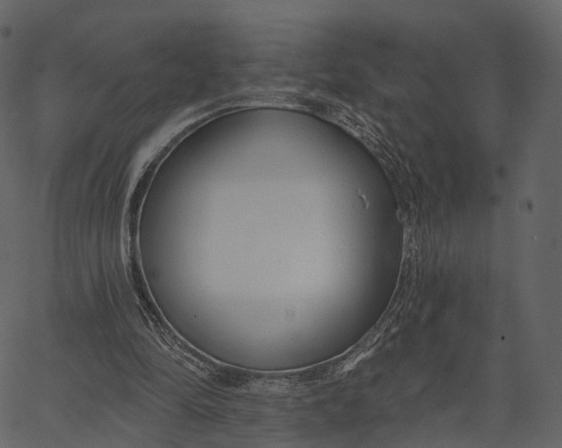 X0000062610294200601111015