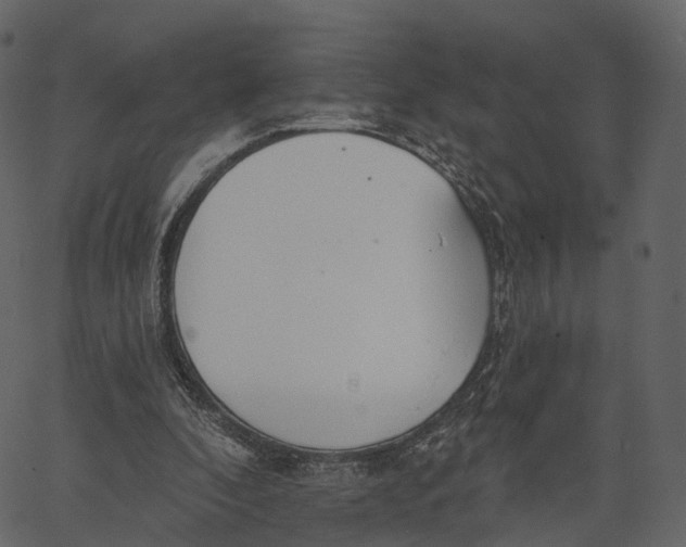 X0000062610296200601111015