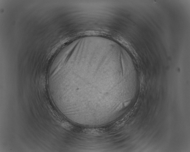 X0000062610297200601111015