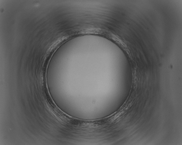 X0000062610298200601111015