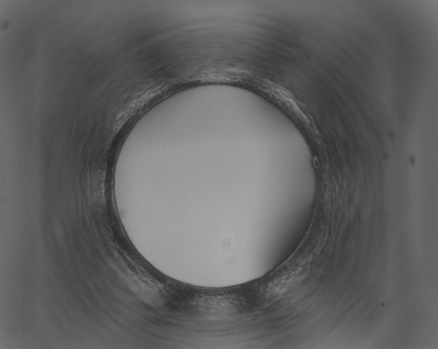 X0000062610299200601111015