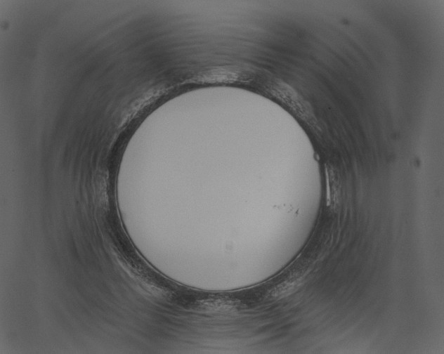 X0000062610300200601111015