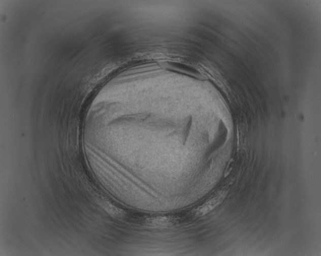 X0000062610301200601111015