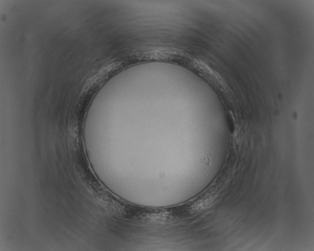 X0000062610306200601111015