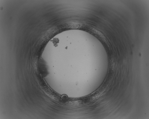 X0000062610307200601111015