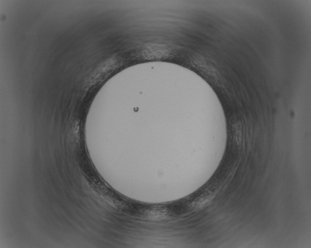 X0000062610308200601111015