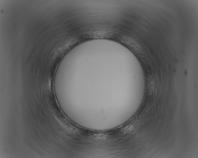 X0000062610310200601111015