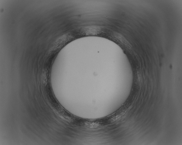 X0000062610311200601111015