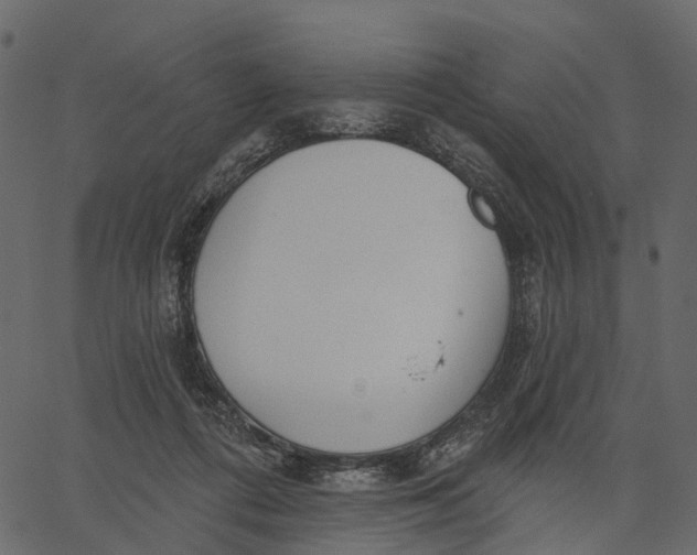 X0000062610312200601111015