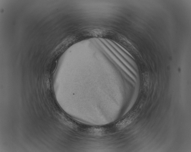 X0000062610313200601111015